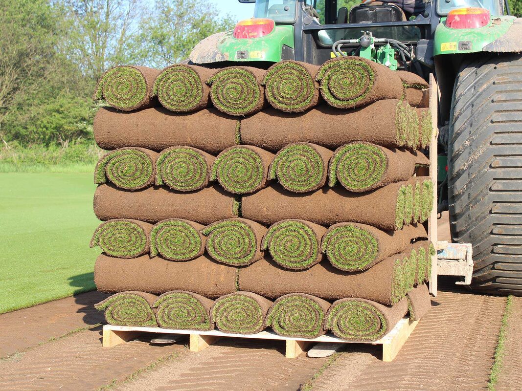 Arena Turf Rolls