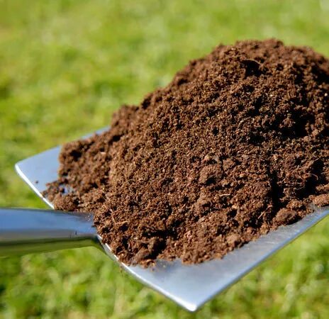 Top Soil